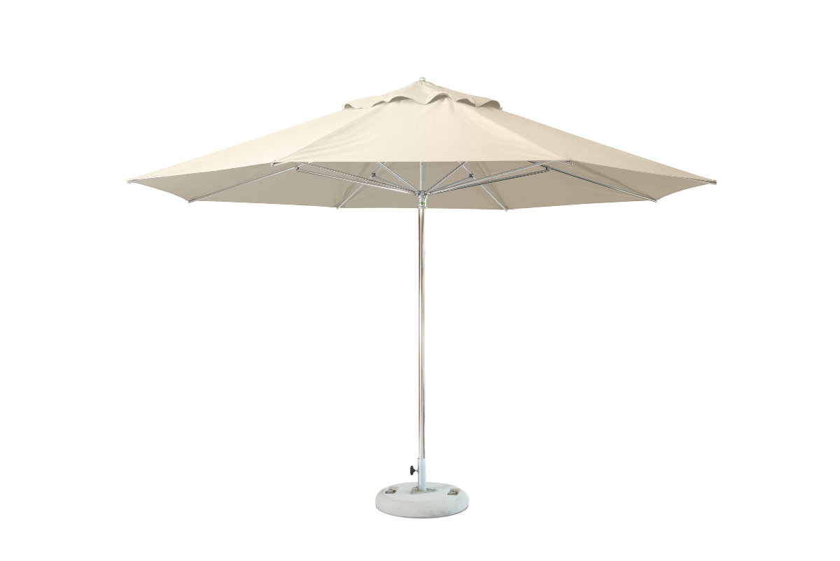 Designer umbrellas online discount